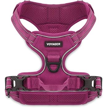 Voyager by Best Pet Supplies -Dual-attachment No-Pull Adjustable Harness with 3M Reflective Technology, (Fuchsia, Medium)