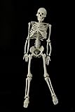 AWW WCP1D Mr Thrifty Skeleton 4th Quality