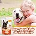 Fitapet Allergy Relief for Itchy Dogs - with Turmeric, Omega-3, Quercetin and Bromelain - 60 Soft Chews