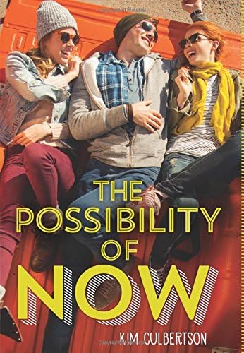 The Possibility of Now (Point) Hardcover – 26 January 2016