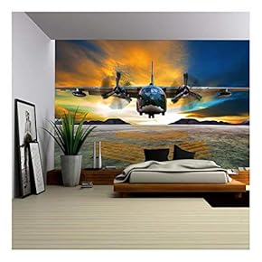 Military Plane Landing on Airforce Runways Against Beautiful Dusky Sky