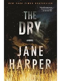 The Dry: A Novel