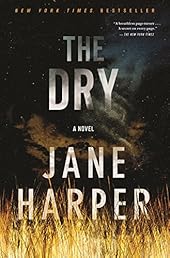 The Dry: A Novel