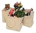 Eco-Friendly, Reusable, Sustainable Natural Canvas Tote (3 Pack)