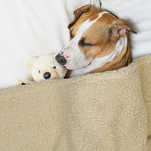 AIPERRO-2-Pack-Premium-Fluffy-Fleece-Dog-Blanket-Soft-and-Warm-Pet-Throw-Blankets-Bed-Couch-Car-Seat-Cover-Washable-for-Puppies-and-Cats
