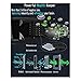 Portable Car Air Purifier,Evtech Car Ionic Air Freshener Removes Cigarette Smoke, Bacteria, Odor Smell with 2.1A Dual USB Ports Car Charger for iPhone, Samsung and Android Devices (Black )