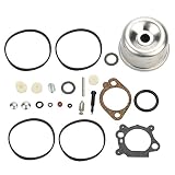 Panari 493762 Carburetor Overhaul Kit Float Bowl for Briggs and Stratton 498260 492495 796611 493640