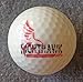 NightHawk 4 Glow in Dark LED Light Up Golf Balls Official Size Weight Constant On