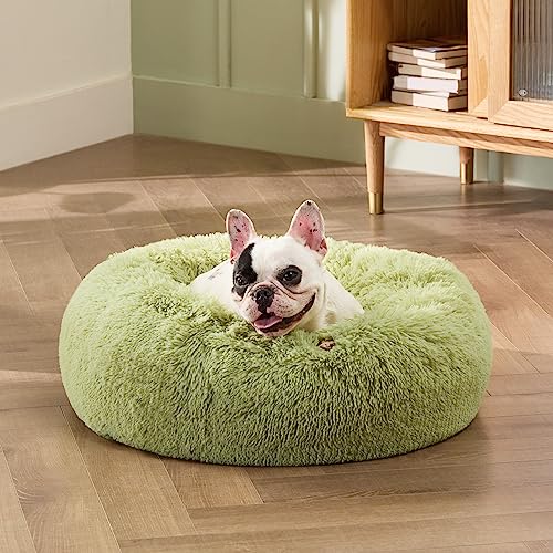 Bedsure Calming Dog Bed for Small Dogs Donut Washable Small Pet Bed