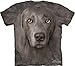 Mountain Weimaraner Adult Size T-shirt , Gray , Small