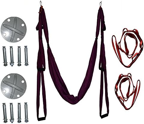 Egojin High Strength Decompression Hammock Inversion Trapeze Anti-Gravity Aerial Traction Yoga Gym Swing Hanging With 4 Color(purple)