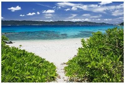 Amazon ポストカード 沖縄県座間味島 白い砂浜と青空青い海 Photo By 宮西範直 えはがき絵葉書postcard ポストカード 絵柄付はがき 文房具 オフィス用品 Amazon ポストカード 沖縄県座間味島 白い砂浜と青空青い海 Photo By 宮西範直 えはがき絵葉書postcard ポストカード 絵柄付はがき 文房具 オフィス用品