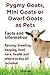 Pygmy Goats as Pets. Pygmy Goats, Mini Goats or Dwarf Goats: Facts and Information. Raising, Breedin by 