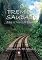 Livro O Trem Da Saudade Sobre Os Trilhos Da Esperança