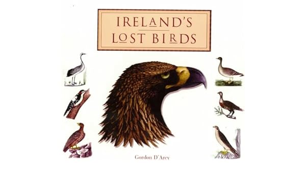 Irelands Lost Birds Gordon Darcy 9781851825295 Amazon