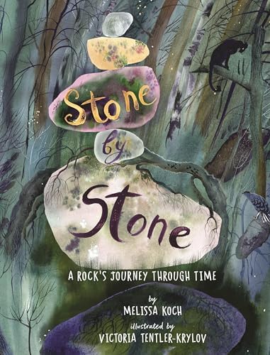 新品　未開封　THE STONEMASTERS BOOK クライミング The Secret Lives of Stones: Fascinating stories of gemstones