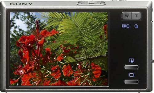 Sony Cybershot DSC-T50 7.2MP Digital Camera with 3x Optical Zoom