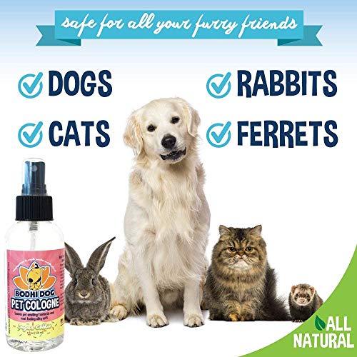 2 Dog+Deodorant+Deodorizing+Conditioning+Qualities