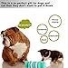 Dog's Chew Toy Dogs Teeth Cleaning Toy [Bite Resistant][Non-Toxic Soft Rubber]Jakpak Dog Chew Toys and Teeth Cleaning Toy for Aggressive Chewers Funny Rotary Rubber Gear Toy for Dogs Mint