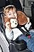 Alphabetz Monkey Baby Pillow Head and Neck Support Travel Pillow, Brown