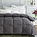 ROSECOSE Luxurious All Seasons Goose Down Comforter Queen Size Duvet Insert Gray 1200 Thread Count 750+ Fill Power 100% Cotton Shell Hypo-allergenic Down Proof with Tabs (Queen, Gray)
