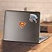 PopFunk Classic Toddler Kids Superman Classic Logo Unisex Boy Girl Short Sleeve Graphic T-Shirt & Stickers (4T)