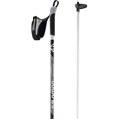 SALOMON Lightweight XC Ski Poles with Ergonomic Zambia Ubuy