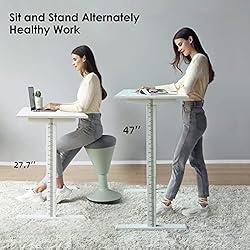 STARY Electric Whole Board Standing Desk Adjustable