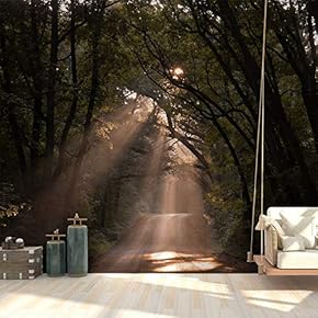 Wall Mural Forest Removable Wallpaper Wall Sticker for Bedroom Living Room - 66x96 inches