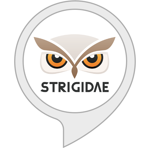 strigidae camera