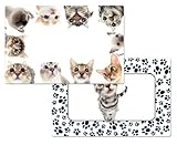 4 in Your Face Cats Cat and Kitten Theme Placemats with Paw Prints