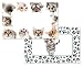 4 in Your Face Cats Cat and Kitten Theme Placemats with Paw Prints