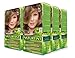 Naturtint 7N Hazelnut Blonde Permanent Hair Color (Pack of 6), Ammonia Free, Vegan, Cruelty Free, up to 100% Gray Coverage, Long Lasting Results (Packaging may vary)