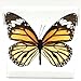 Tiger Butterfly Paperweight Paperweights Specimen Specimens Collection Display(3