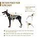 OneTigris Tactical Dog Training Vest Harness with Mesh Padding and Two Handles (Tan, XL / 54cm)