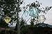 Allsop Home and Garden 29803 10