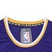 OuterStuff Youth Los Angeles Lakers #23 LeBron James Kids Basketball Jersey