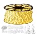 GUOTONG LED Rope Lights Outdoor Waterproof, 131.2ft Rope Lighting Warm White Light Strip, 110V LED Strip Lights Indoor, Connectable String Tape Light for Backyards, Patio, Decorative Lighting