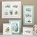 Prinz 3 Opening Seaside Wood Plank Collage Frame, 5 x 7, White