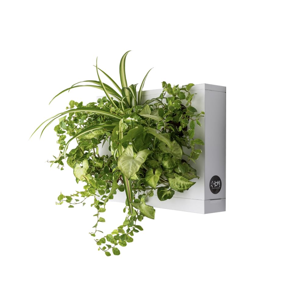Ortisgreen HOH, Indoor and Outdoor Wall Mount Hanging Multi Plant Pot In White (ABS Plastic) with Natural Substrate and Instruction Included, Hanging Garden Wall Planter