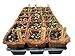 54 Coco Fiber Seed Starter Biodegradable Pots (3.5” Square Pots) for Starting Tender Rooted Vegetables, Herbs, Plant Seedlings, Cuttings, Germination Transplanting - Includes 24 Wooden 6