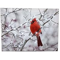 BANBERRY DESIGNS Cardinal Canvas Wall Art - Lighted Print Red Cardinals Snowy Winter Scene - Light Up Christmas Pictures