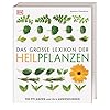 Das große Lexikon der Heilpflanzen: 550 Pflanzen und ihre Anwendungen Gebundene Ausgabe – 23. März 2017