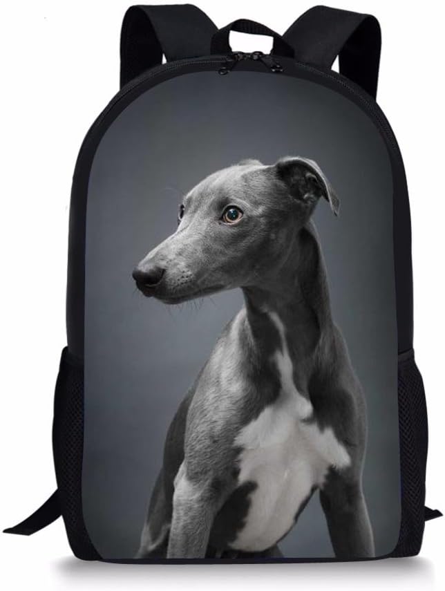 sending luggage through greyhound