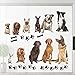 Wall Stickers for Bedroom Living Room, PARLAIM Wall Decals for Kids Boys and Girls (Muti)