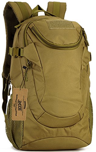 rains field bolsa review