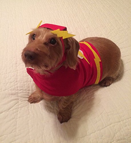 Small Dog The Flash Costume - Image 5