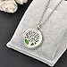 HOUSWEETY Aromatherapy Essential Oil Diffuser Necklace-Stainless Steel Locket Pendant,11 Refill Pads(Non-engraving)