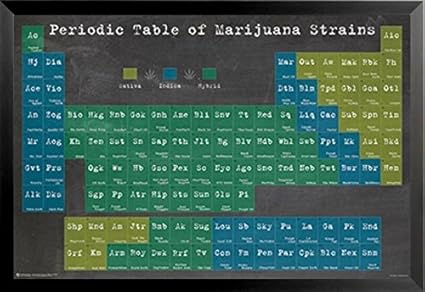 Amazon Com Buyartforless Framed Periodic Table Of Marijuana