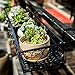 Fitlyiee Balcony Flower Pot Stand Rack Patio Railing Shelf Plant Pots Holder Windows Decorate (S, Black)thumb 2